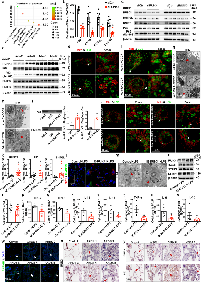 1691721320286356.png 2.png